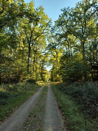 Wellerode Rundweg 19