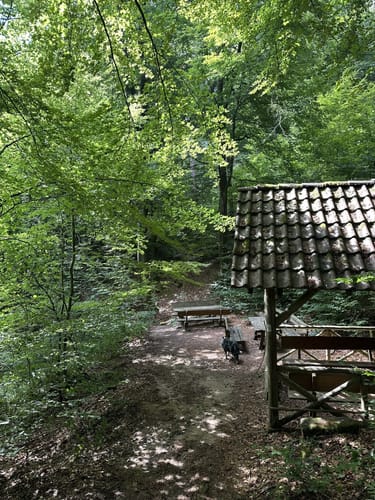Leininger Klosterweg (Premiumwanderweg)