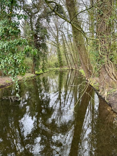 Nette-Seen (Premiumwanderweg)