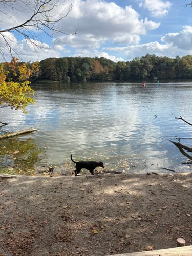 Rund um den Machnower See