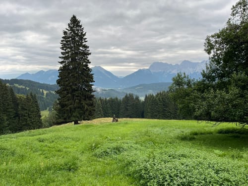 Kranzbach - Elmauer Alm Rundwanderung