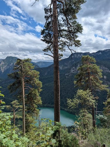 Thumsee - Weißbachschlucht - Höllenbachalm