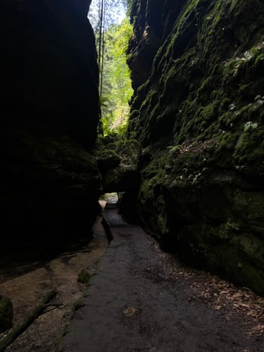 Durch den Uttewalder Grund zum Teufelsgrund