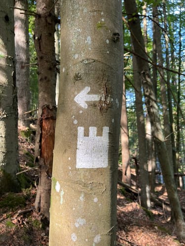 Erfenstein: Drei Burgenweg