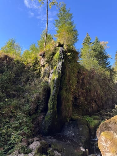 Menzenschwander Geißenpfad (Genießerpfad)