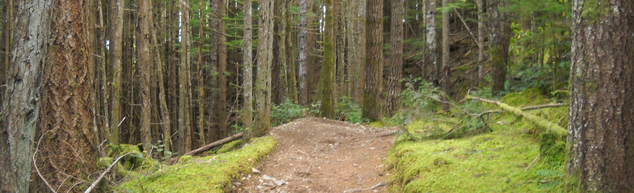 Green Mountain via Gold Creek and Wildcat Trails 184 Reviews, Map