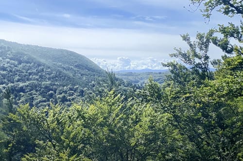 Spirkelbacher Höllenbergtour (Premiumwanderweg)