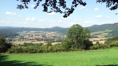 Mainzer Köpfe P12 (Premiumwanderweg)
