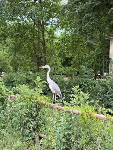 Schlosspark Monrepos