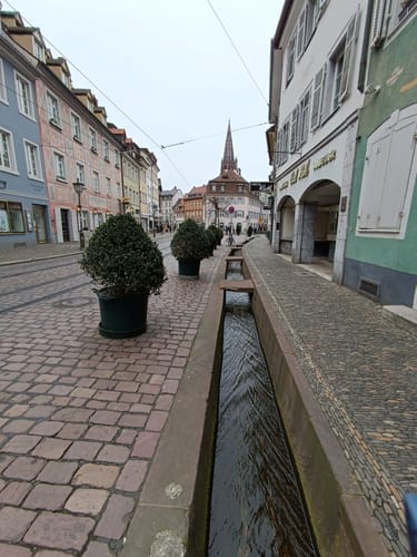 Schlossberg Runde Freiburg