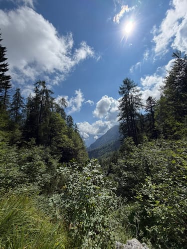 Zu den Kalmbergen von Bad Goisern im Dachsteingebiet