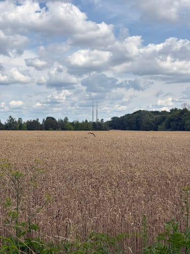 Berliner Mauerweg Etappe 7: Schönefeld - Lichtenrade