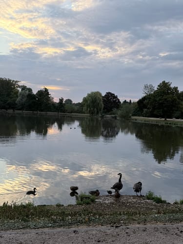 Entlang der Nidda in Sossenheim