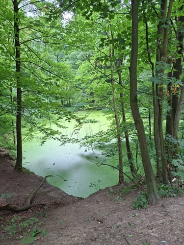 Durch den Aplerbecker und Schwerter Wald