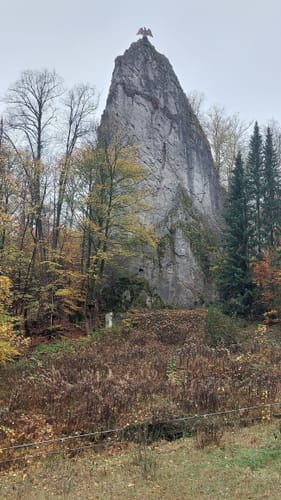 Erlebnispfad WeltWald Harz
