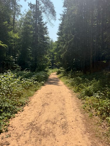 Römerpfad (Premiumwanderweg)