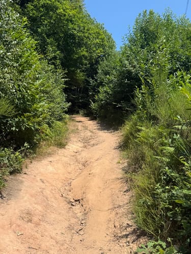 Römerpfad (Premiumwanderweg)
