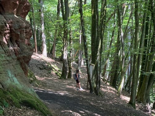 Römerpfad (Premiumwanderweg)