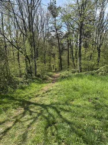 Westweg Etappe 7: Hausach - Wilhelmshöhe
