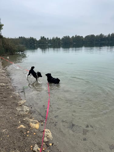 Wanderung rund um Olching