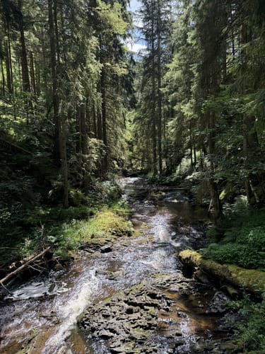 Rötenbachschlucht (Genießerpfad)
