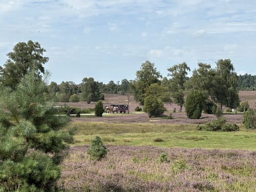 Rundwanderweg Oberhaverbeck O2