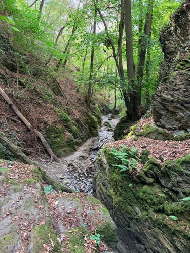 Ruppertsklamm Rundweg