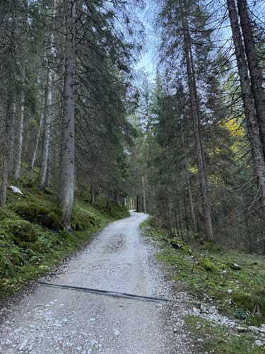 Über den Königsweg zum Schachen