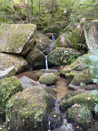 Schnapsbrunnenweg 1