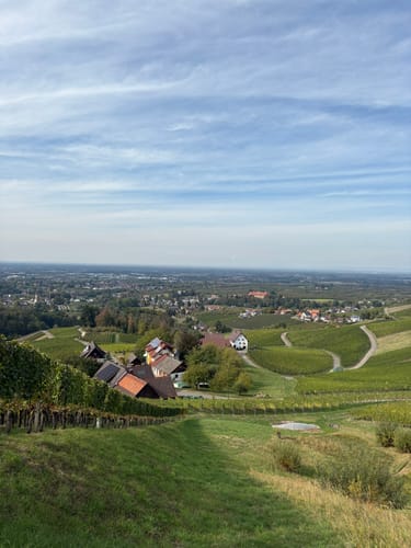 Schnapsbrunnenweg 1