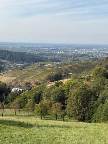 Schnapsbrunnenweg 1