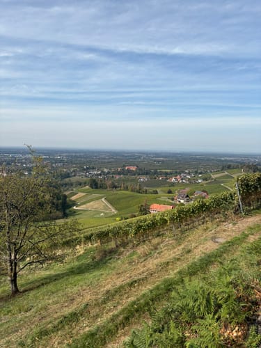 Schnapsbrunnenweg 1