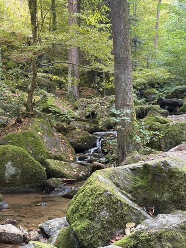 Schnapsbrunnenweg 1