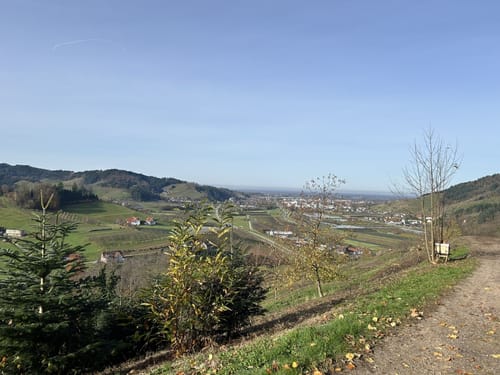 Lautenbacher Teufelsteig