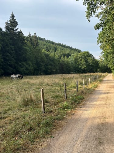 EifelSchleife Eisvogelwanderweg Hellenthal