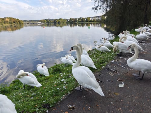 Uferweg Baldeneysee