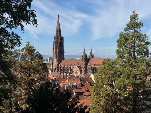 Schlossberg Runde Freiburg