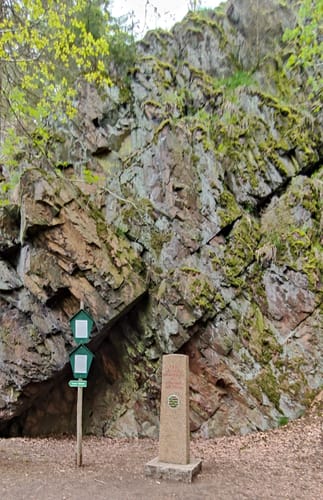 Tännichtgrund im Tharandter Wald 