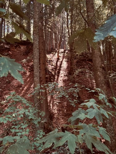 Kaskadenschlucht und Rotes Moor ab Sandberg