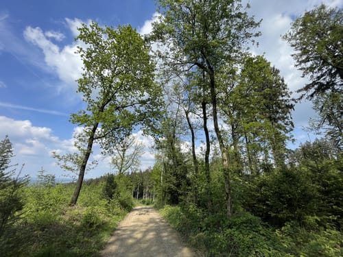 Georgsmarienhütte - Varusturm - Dörenberg