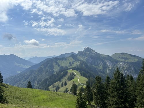 Piesenhausener Hochalm