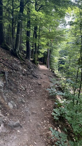 Ramberg: 3-Burgen-Runde