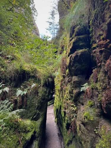Lohmen: Über die Schwedenlöcher nach Kurort Rathen zur Bastei [CLOSED]