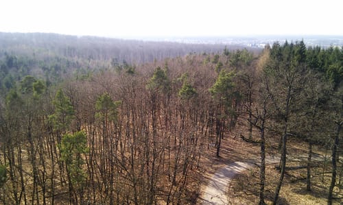 Spessart Biken 22 - Buchberg-8
