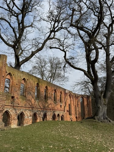 Runde in Boitzenburg