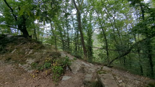 LahnWeinStieg