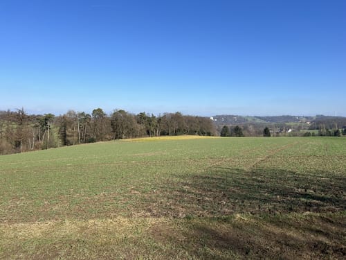 Rund um Isenbügel