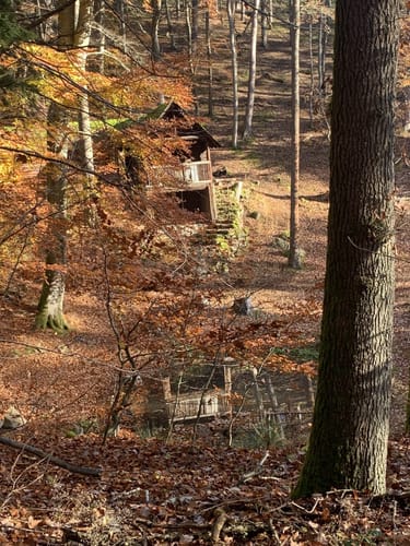 Wolfstein Runde