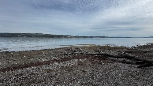 Premiumweg SeeGang Etappe 4: Ruine Kargegg - Insel Mainau