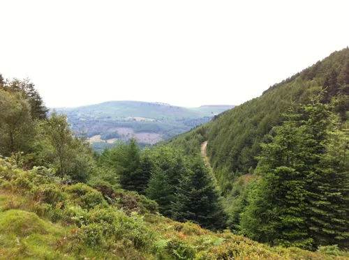 2023 Best Long Trails in Cwmcarn Forest | AllTrails